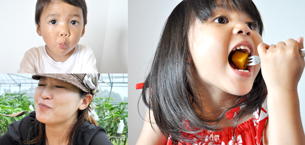 マンゴーの楽しみ方